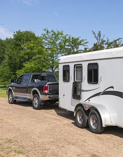 Horse Trailer with Electronic Sway Controller
