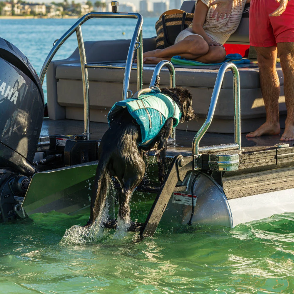 Dog Ladder for Pontoon Boat