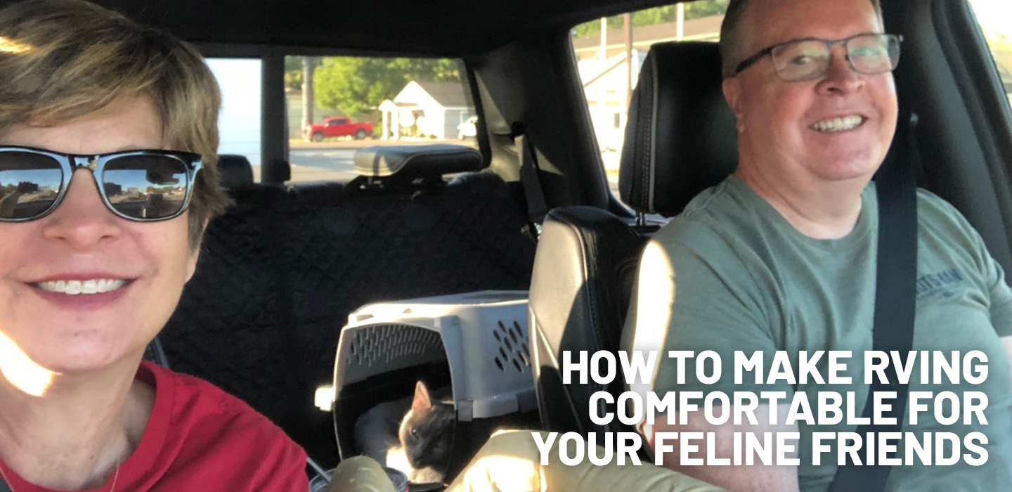 Tips for RVing with cats blog post