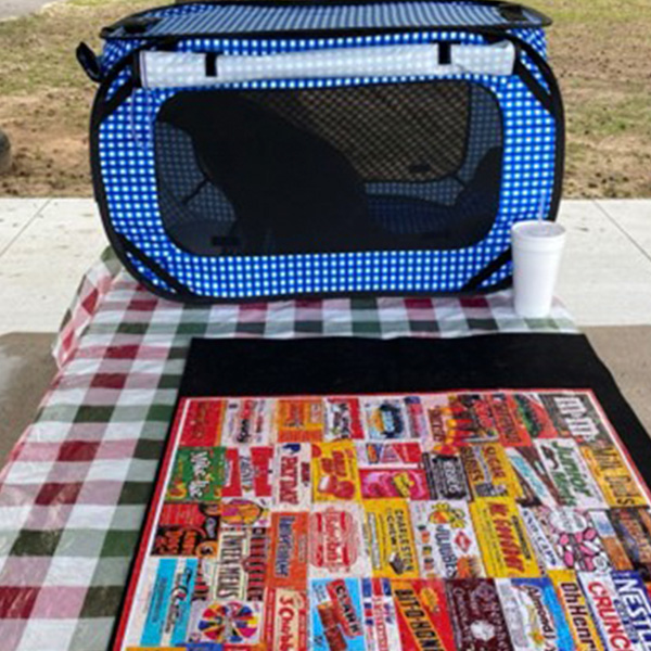 Boomer sitting in his crate on a picnic table outside