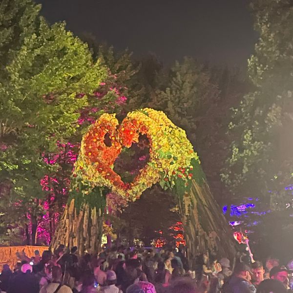 Heart hands at nighttime in Electric Forest