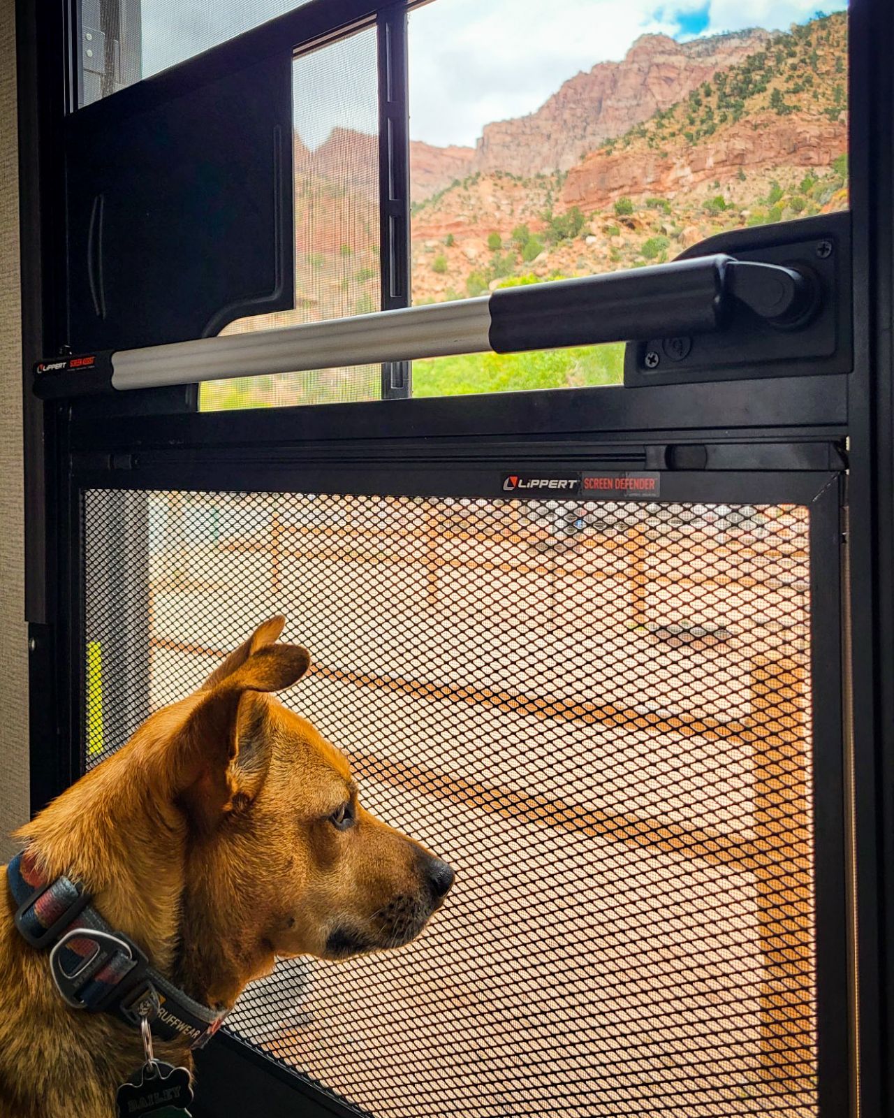 Lippert Screen Defender RV Door Dog Protector
