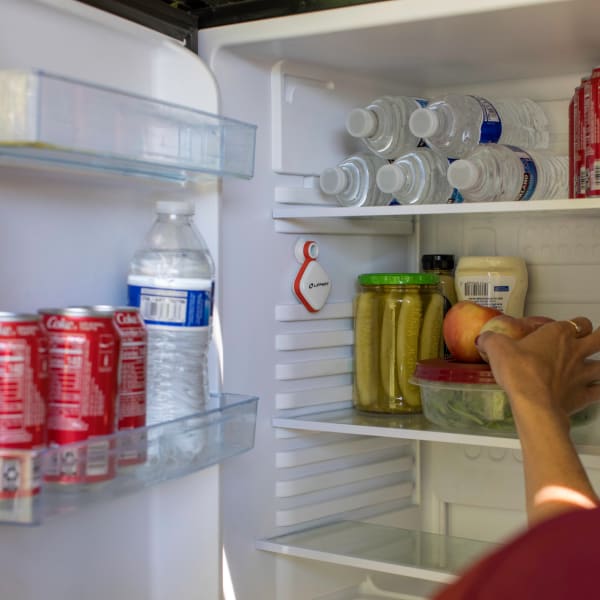 Lippert temperature sensor in a camper refrigerator