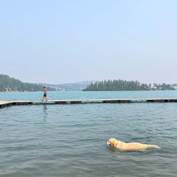 Nash swimming in a lake in Montana
