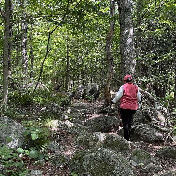 Rugged hike on the Appalachian Trail