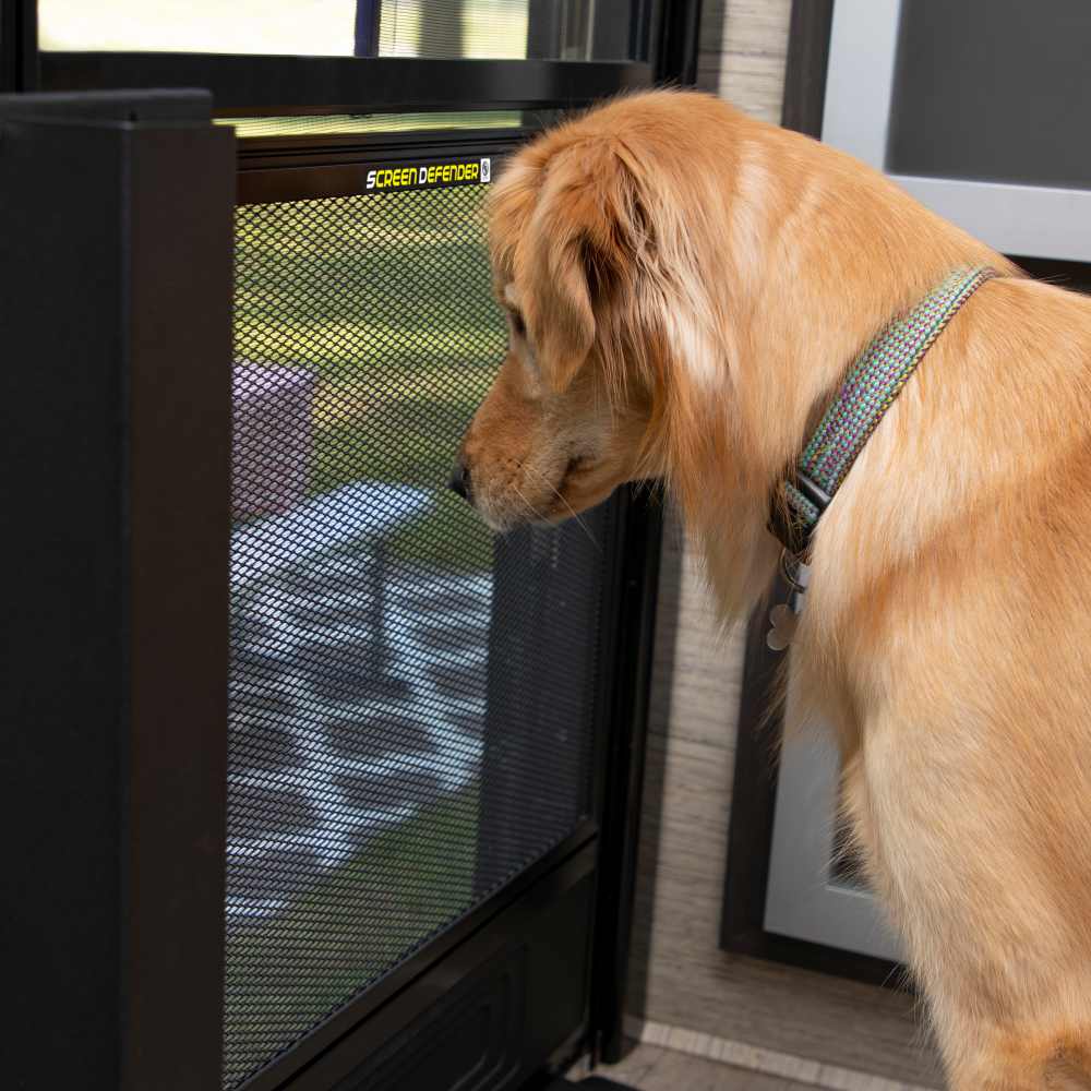 RV Dog Watching Screen Door
