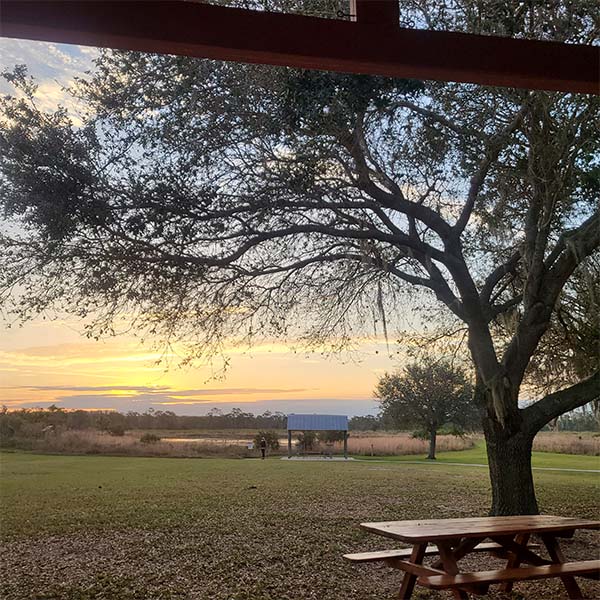 Scenic view at a remote campsite